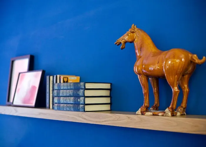 Daire Premium Design